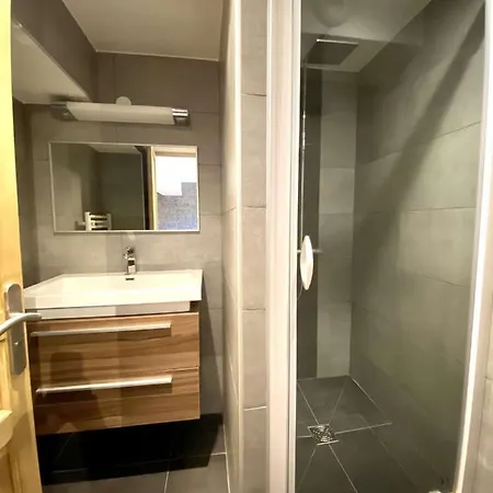 Apartment Boost Your Immo Bel Alp 2 Alpes 409 Les Deux Alpes